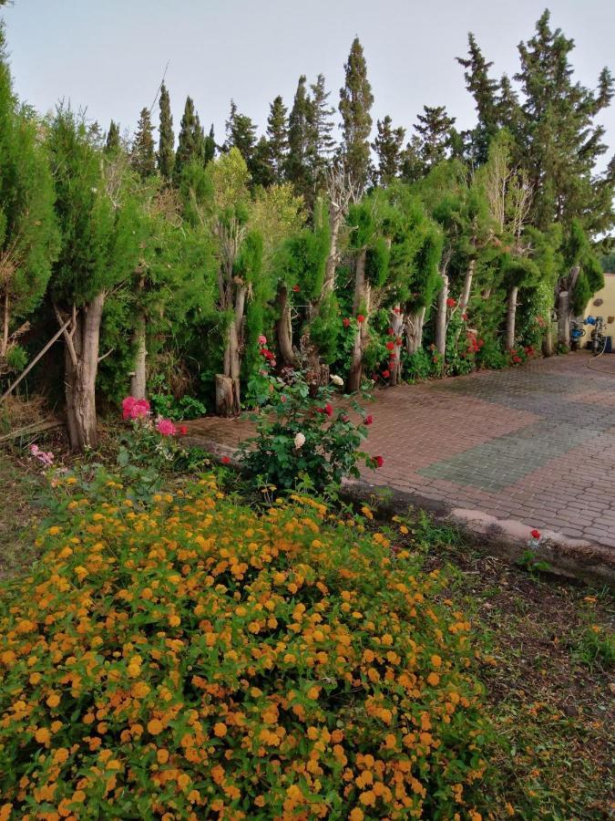 Appartamento In Orosei In Villa Delle Arance 300Mt Dalla Spiaggia Ngoại thất bức ảnh