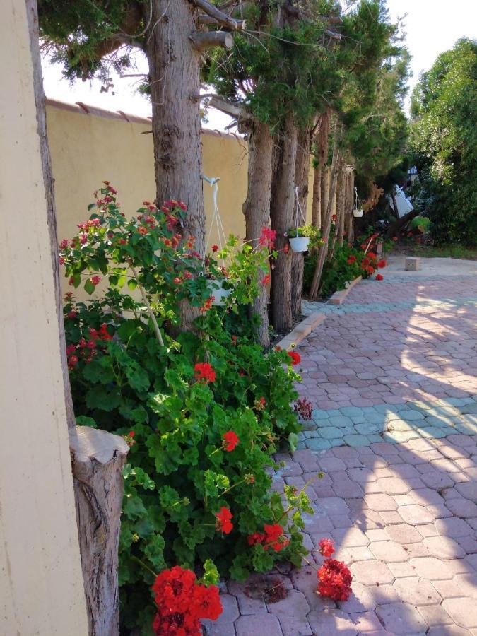Appartamento In Orosei In Villa Delle Arance 300Mt Dalla Spiaggia Ngoại thất bức ảnh